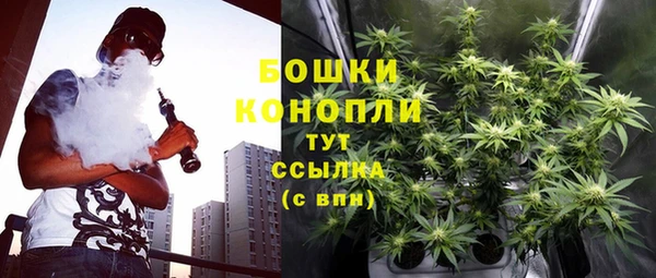 трава Великий Новгород